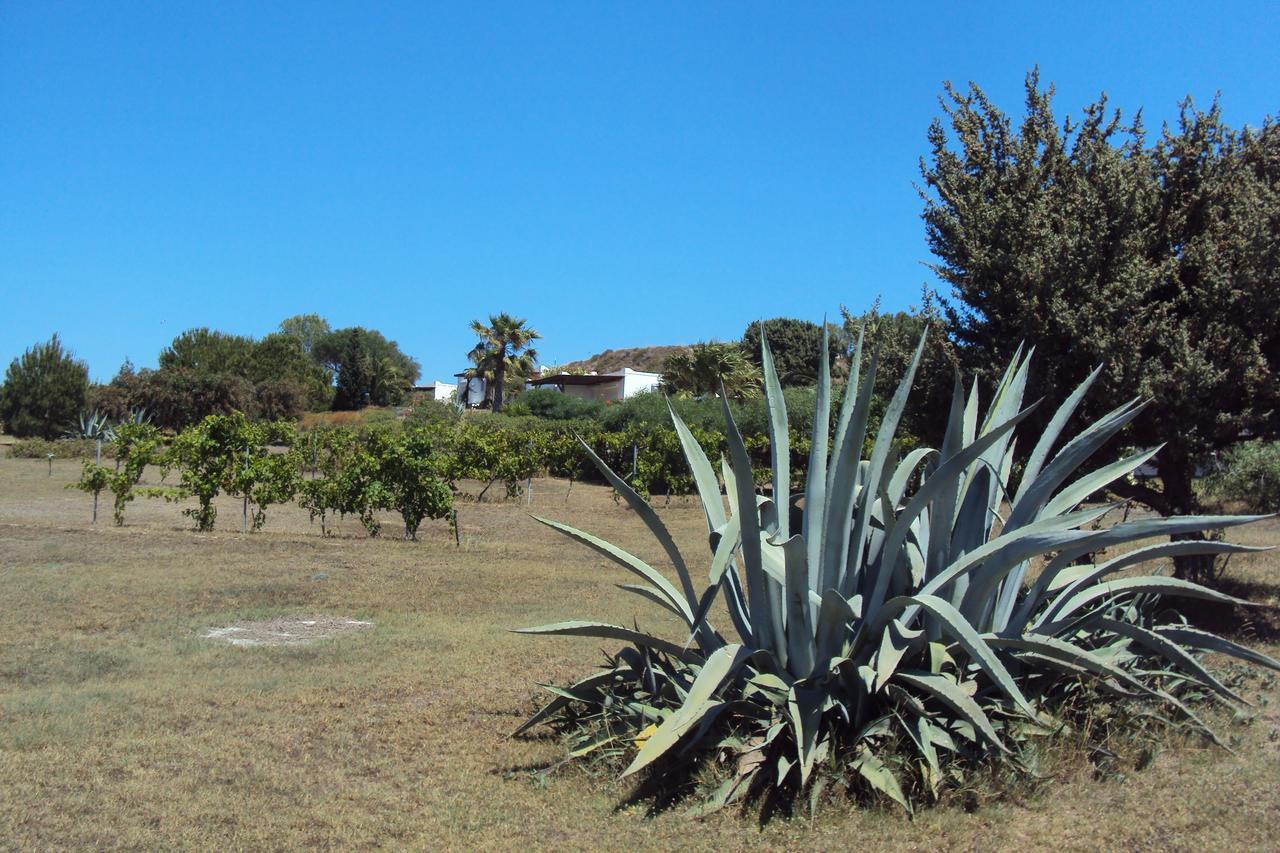 Villa Kos Мастихари Экстерьер фото
