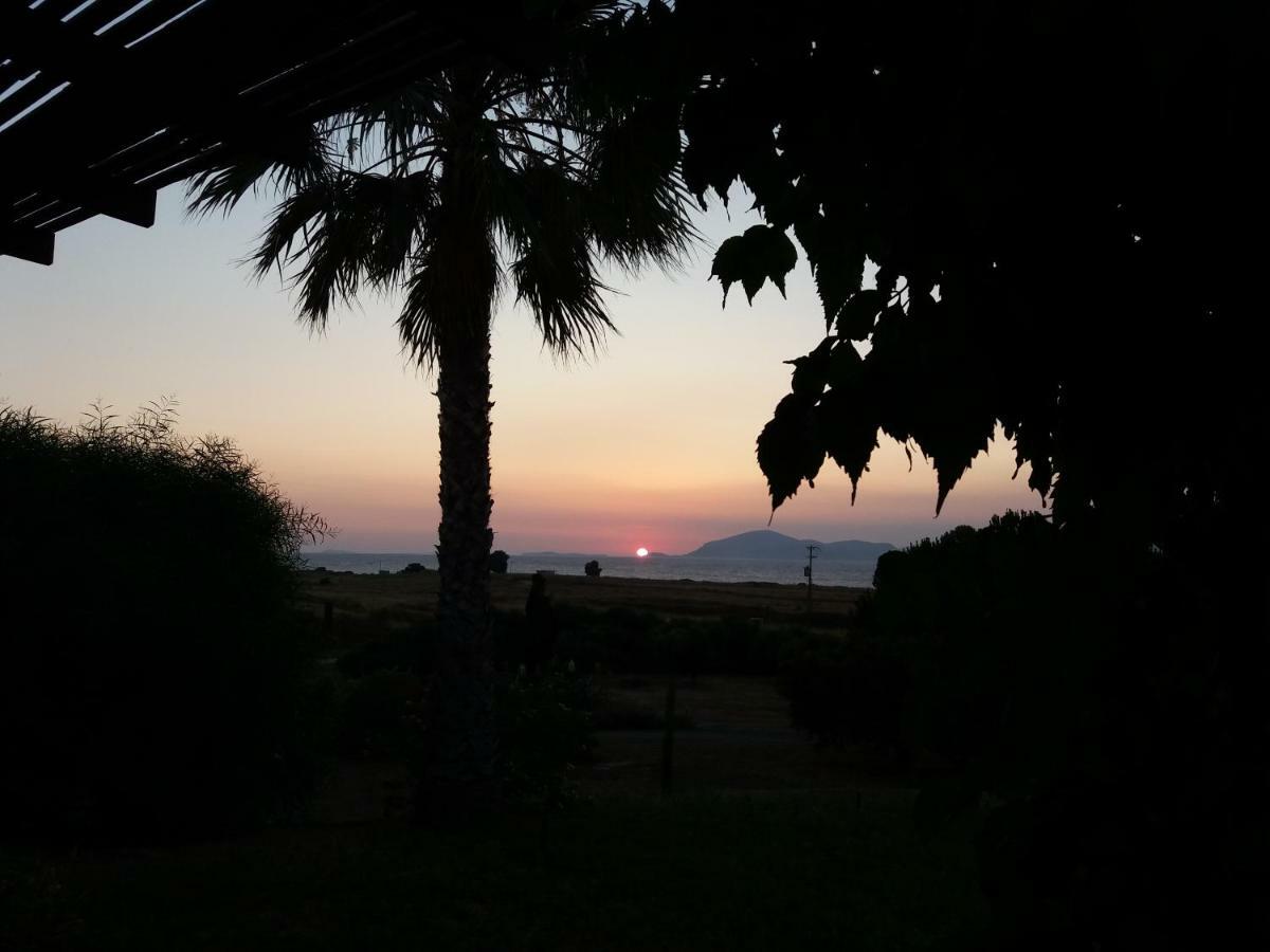 Villa Kos Мастихари Экстерьер фото